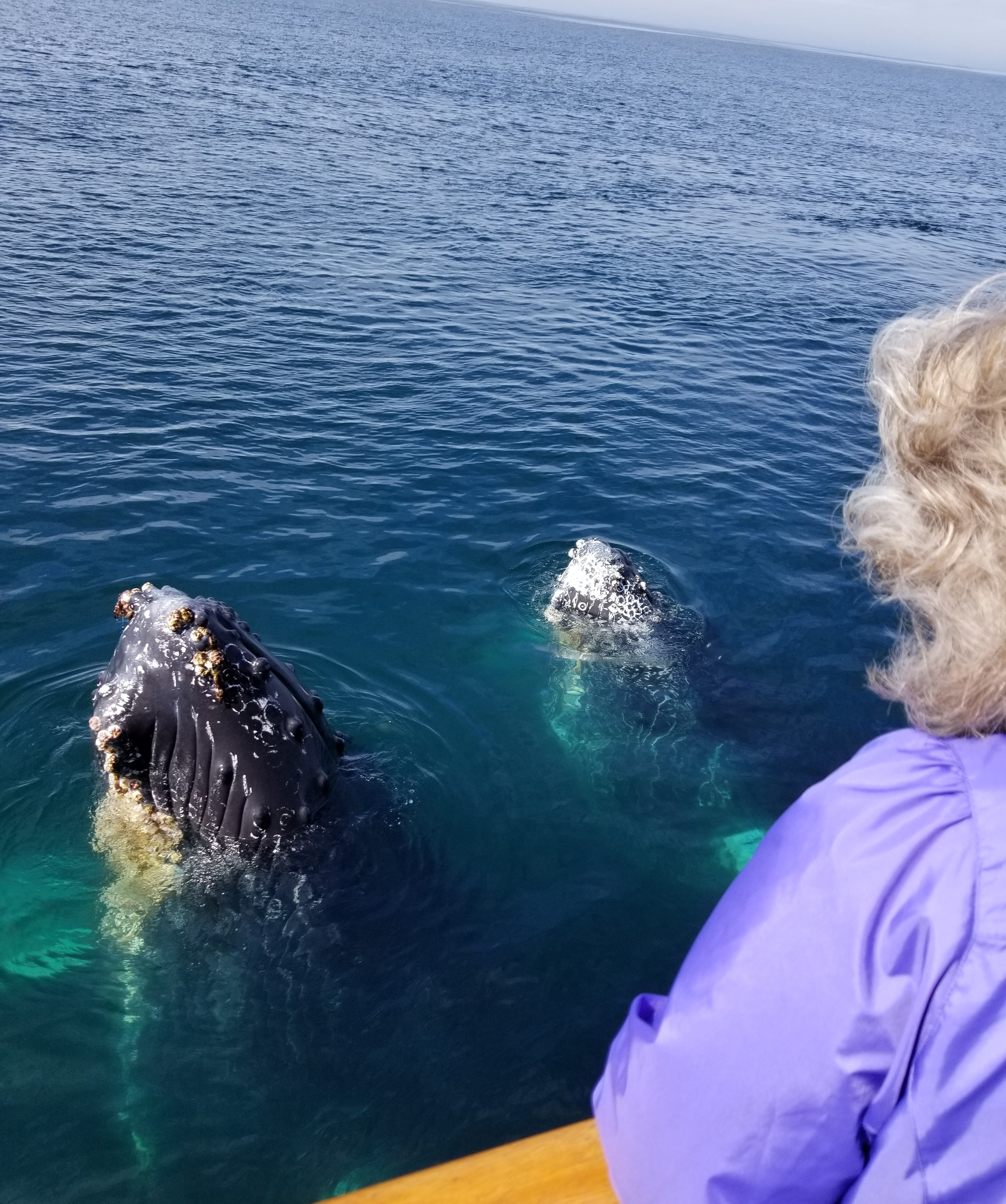 20181001_120214 (002)